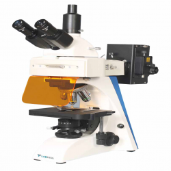 Microscope : Fluorescence Microscope