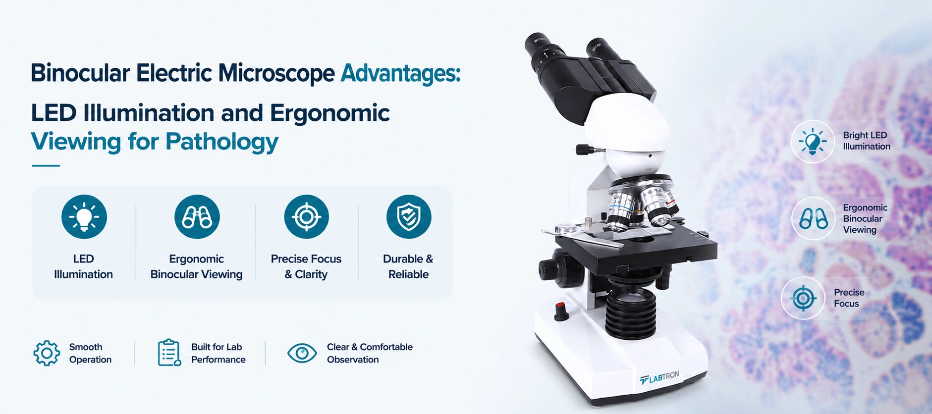 Binocular Electric Microscope Advantages: LED Illumination And Ergonomic Viewing For Pathology