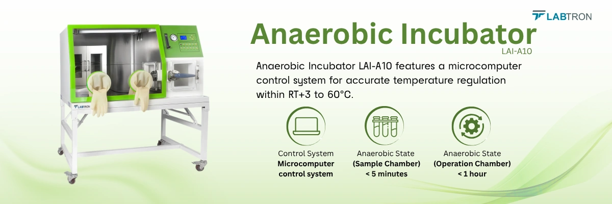 Anaerobic Incubator LAI-A10 | Control System: Microcomputer control system | Display resolution: 0.1°C.