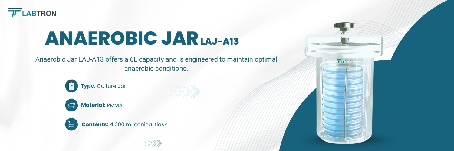 Anaerobic Jar LAJ-A13 | Type-Culture Jar | Material-PMMA