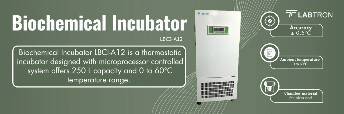 Biochemical Incubator LBCI-A12 | Capacity 250 L | Temperature range 0 to 60°C