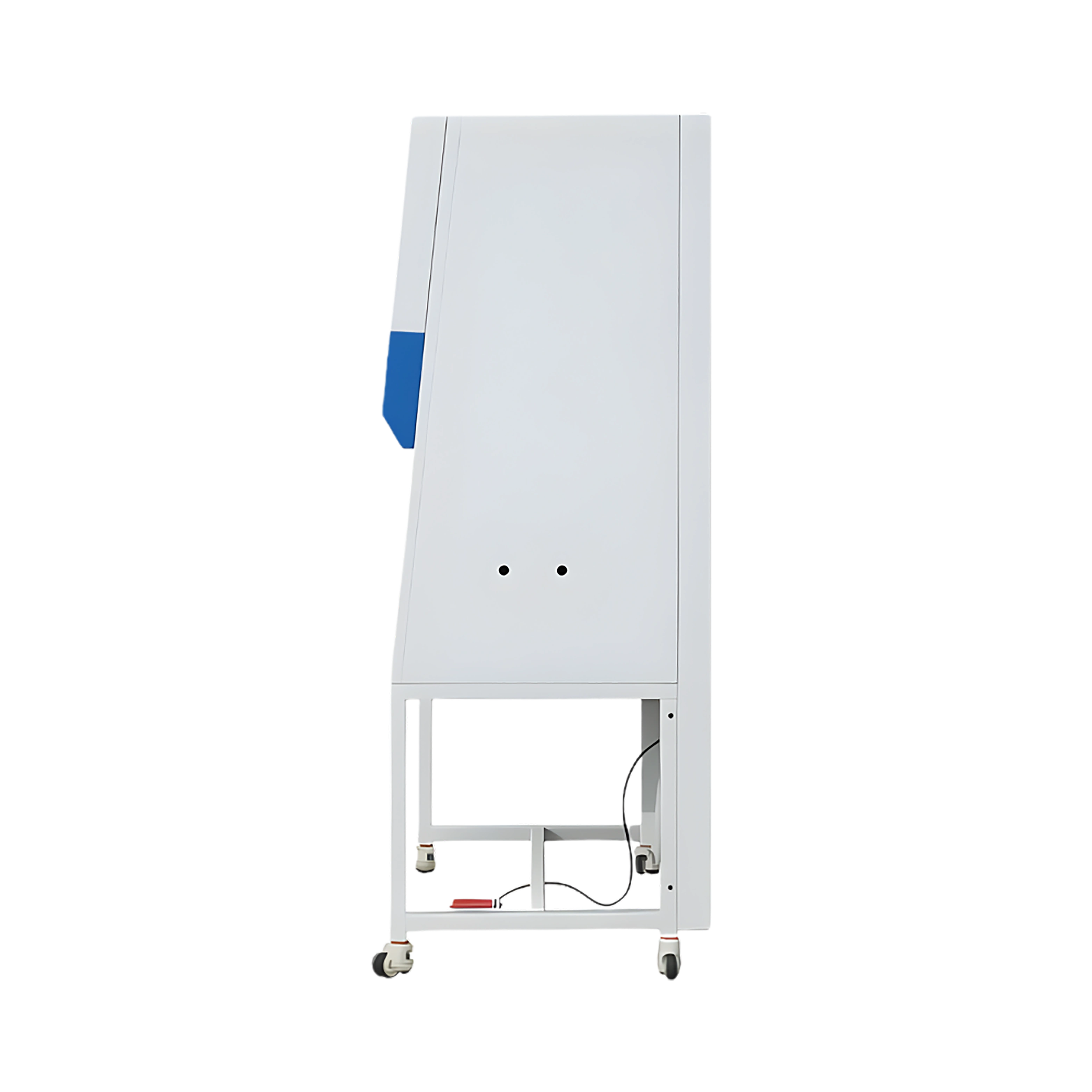 Biosafety Cabinet LBS2-A30 (Class II A2)