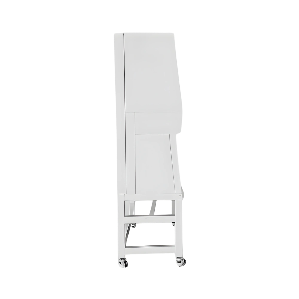 Biosafety Cabinet Class II A2 LBS2-A41