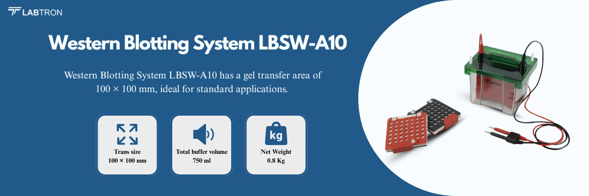Western Blotting System LBSW-A10 | Trans size: 100 × 100 mm | Total buffer volume: 750 ml