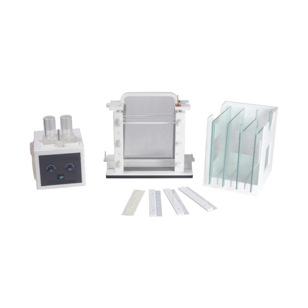 Denaturing Gel Electrophoresis LDGE-A10