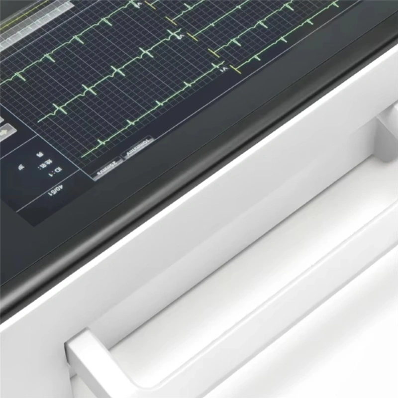 ECG Monitor LECG-D10_zoom panel view