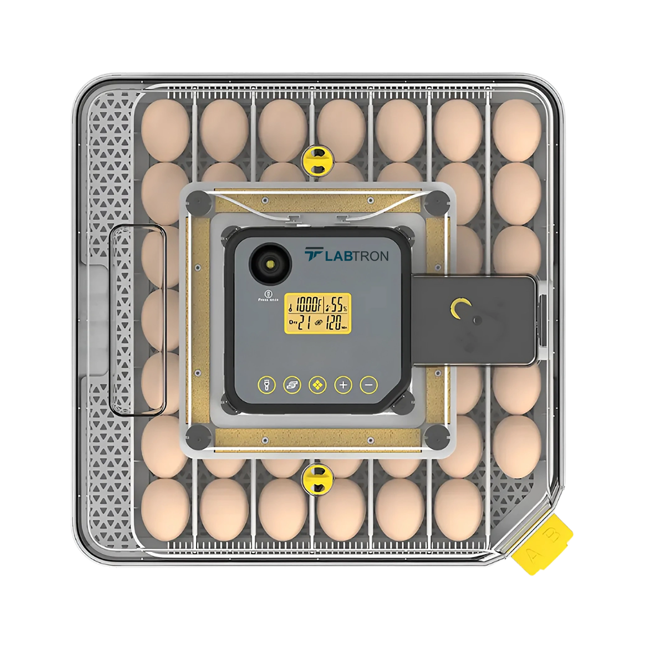 Egg Incubator LEI-A10