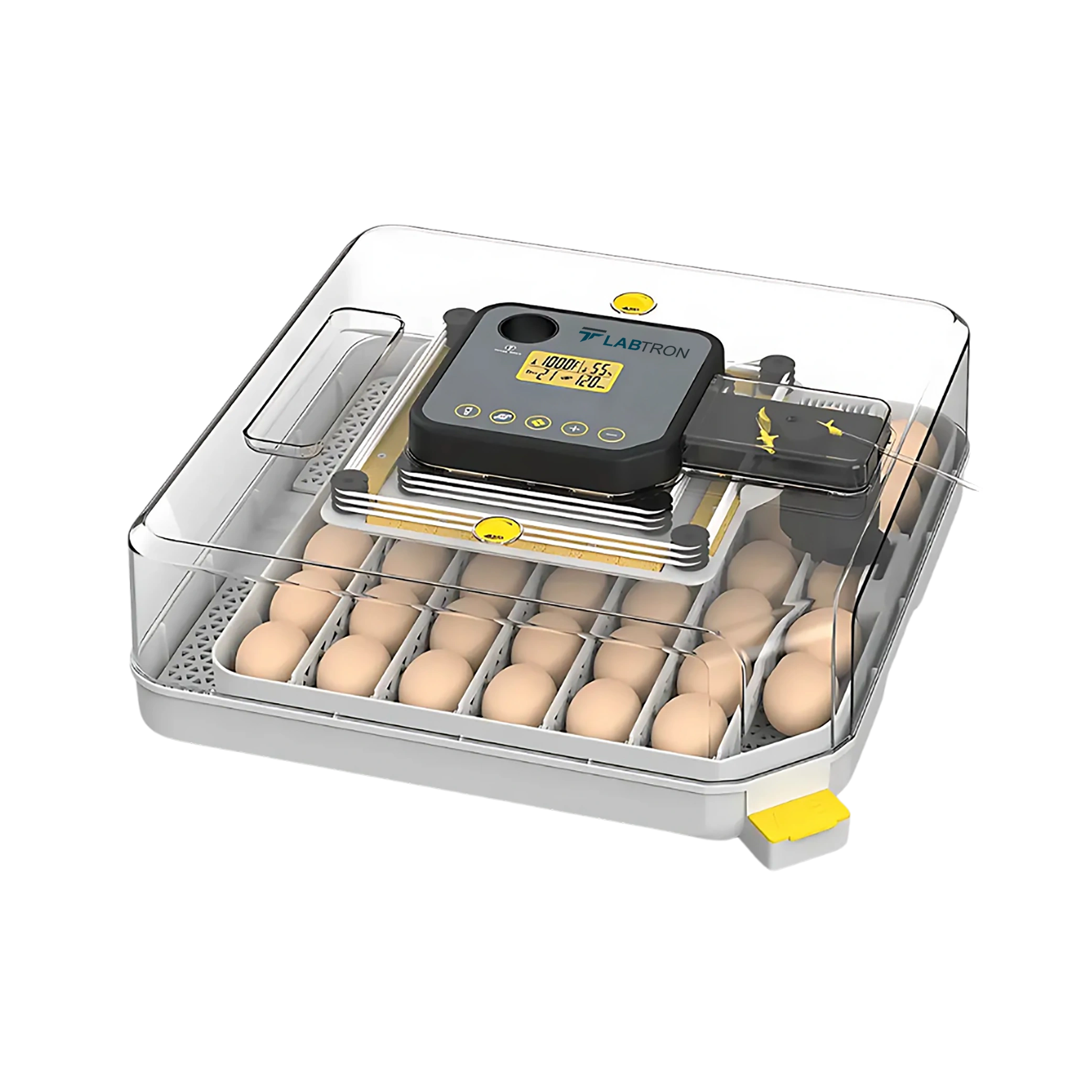 Egg Incubator LEI-A10_Angled View