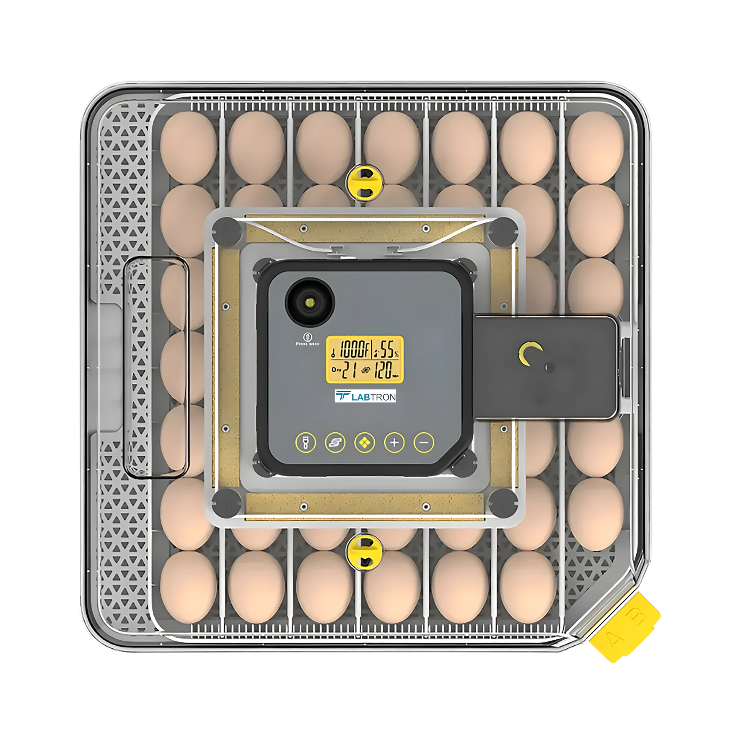 Egg Incubator LEI-A10