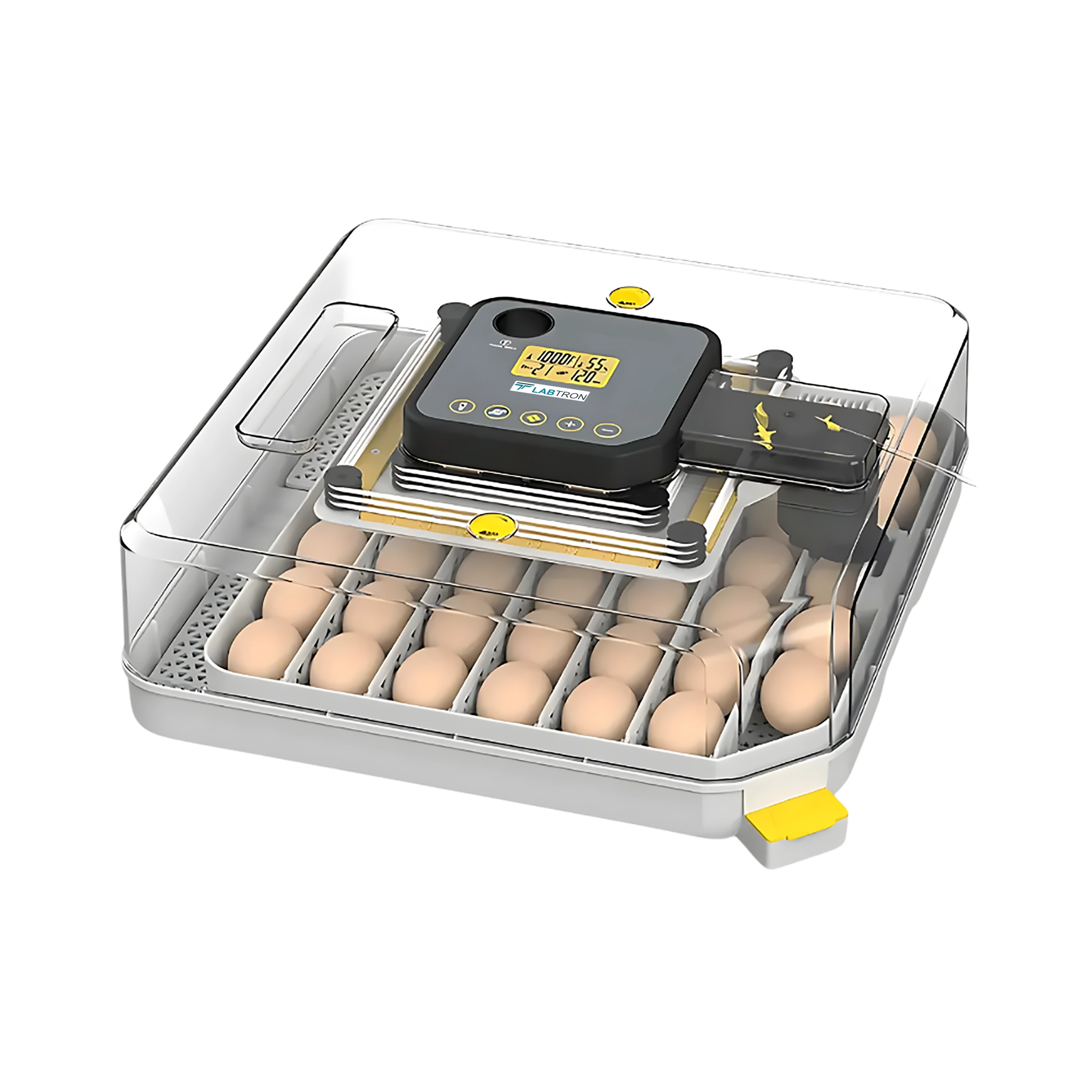 Egg Incubator LEI-A10