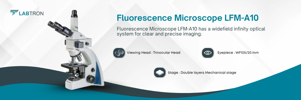 Fluorescence Microscopes LFM-A10 | Eyepiece: Wide Field Eyepiece WF10X/20 mm | Condenser: Sliding-in centerable condenser NA1.25