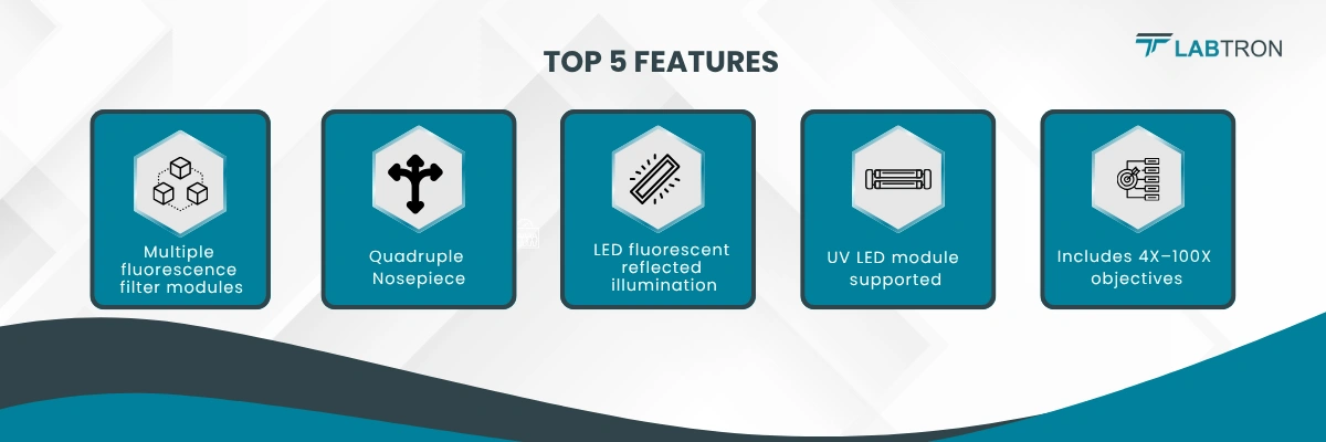 Fluorescence Microscopes LFM-A10 | Quadruple Nosepiece | LED fluorescent reflected illumination