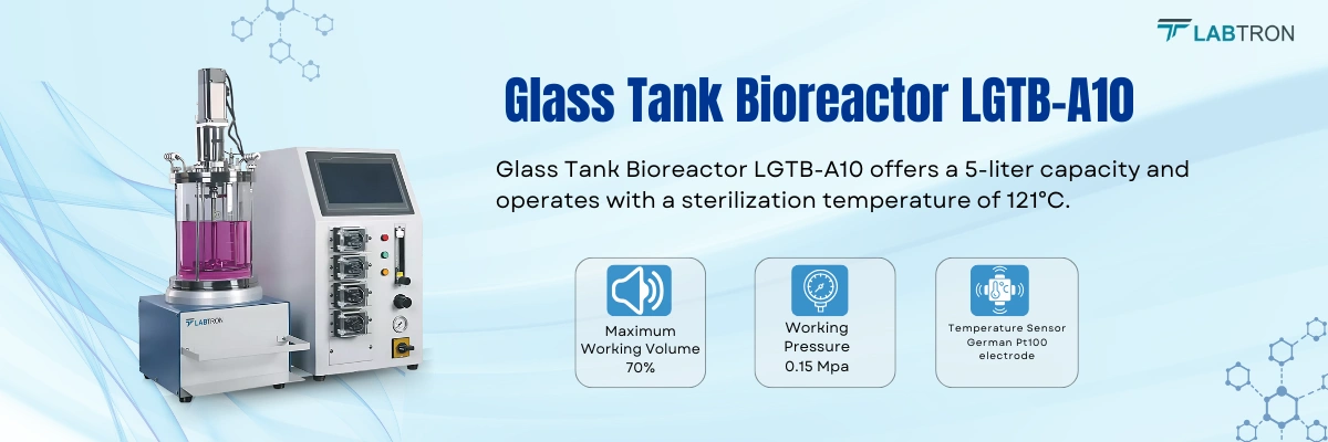 Glass Tank Bioreactor LGTB-A10 Tank Material	Stainless steel SUS316 combined with borosilicate glass