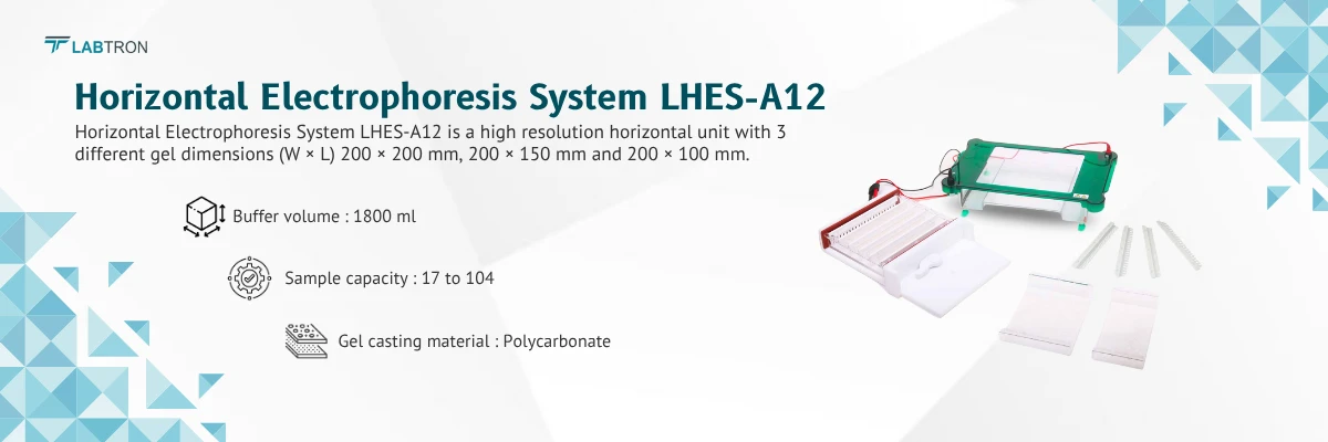 Horizontal Electrophoresis System LHES-A12 | Buffer volume 1800 ml | Sample capacity	17 to 104