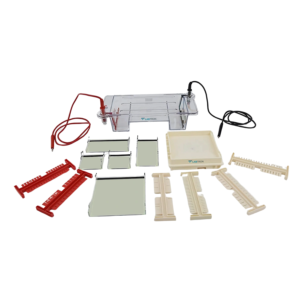 Horizontal Electrophoresis System LHES-A14_over view