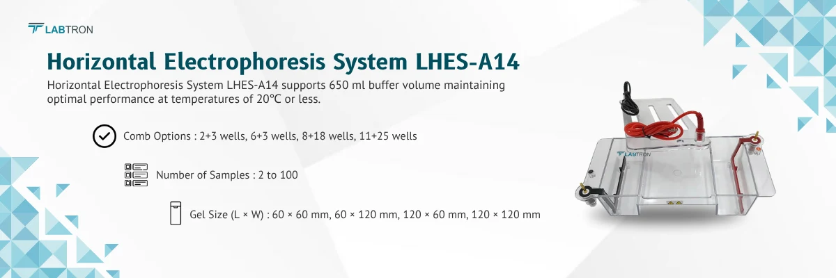 Horizontal Electrophoresis System LHES-A14 | Comb Thickness	1.0 mm, 1.5 mm, 2.0 mm | Number of Samples	2 to 100