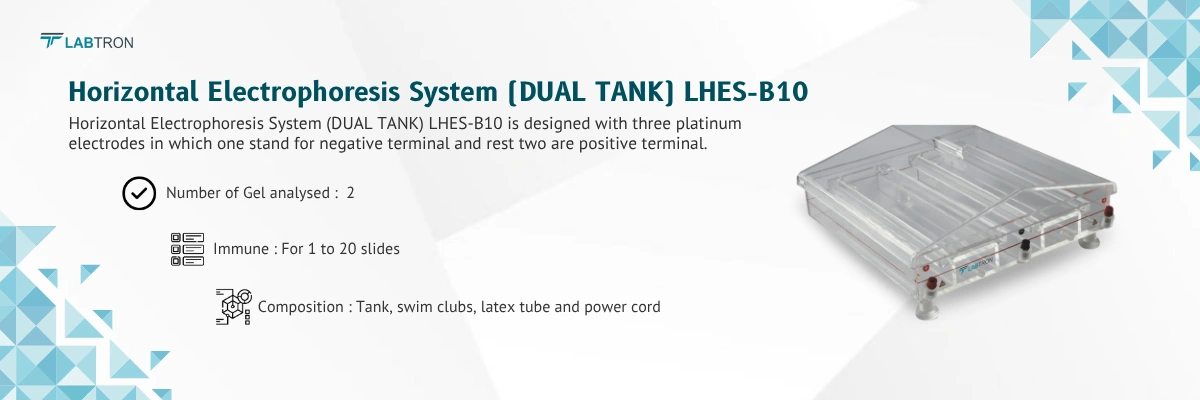 Horizontal Electrophoresis System (DUAL TANK) LHES-B10 | Number of Gel analysed	2 | Immune	For 1 to 20 slides