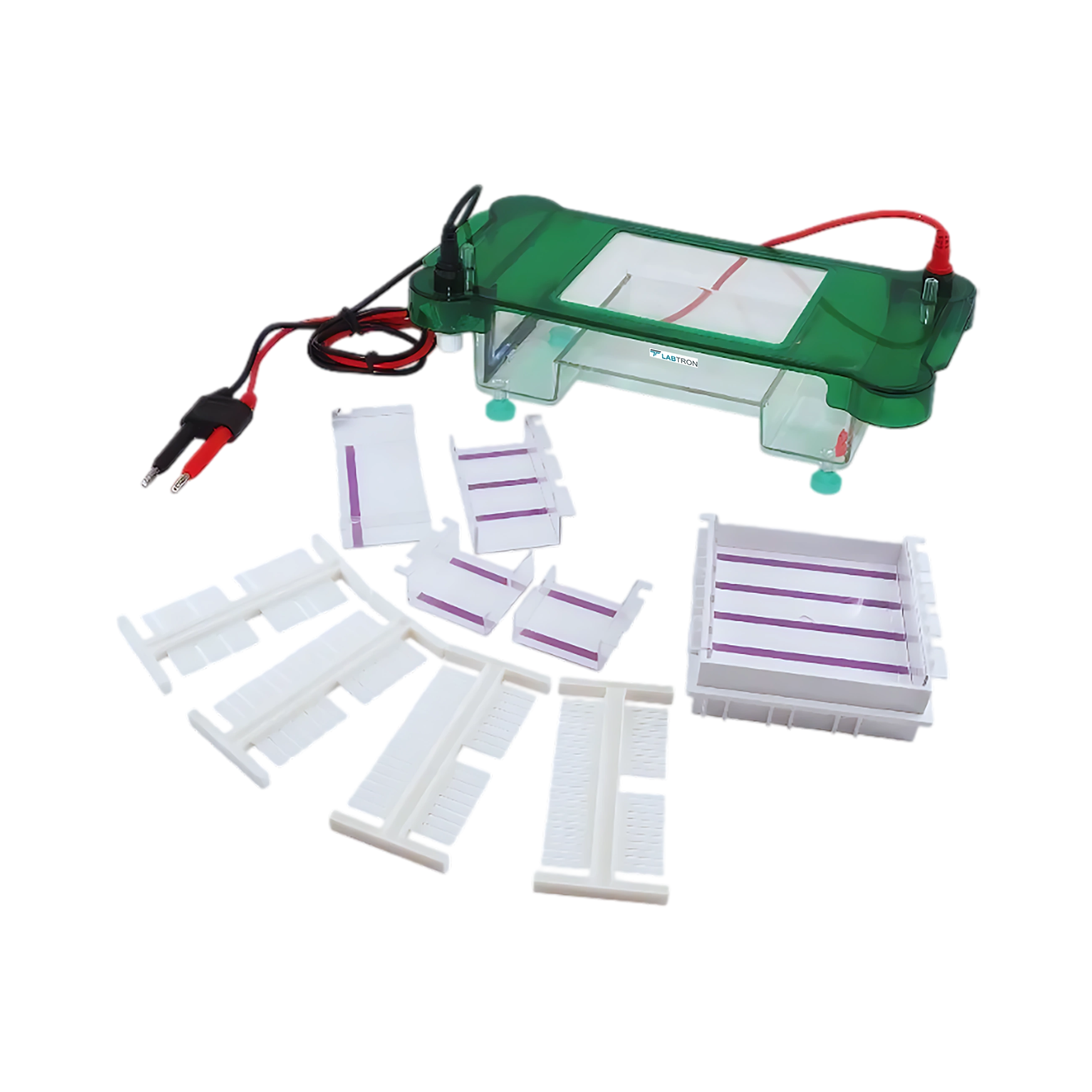 Horizontal Electrophoresis System LHES-C10 Catalog