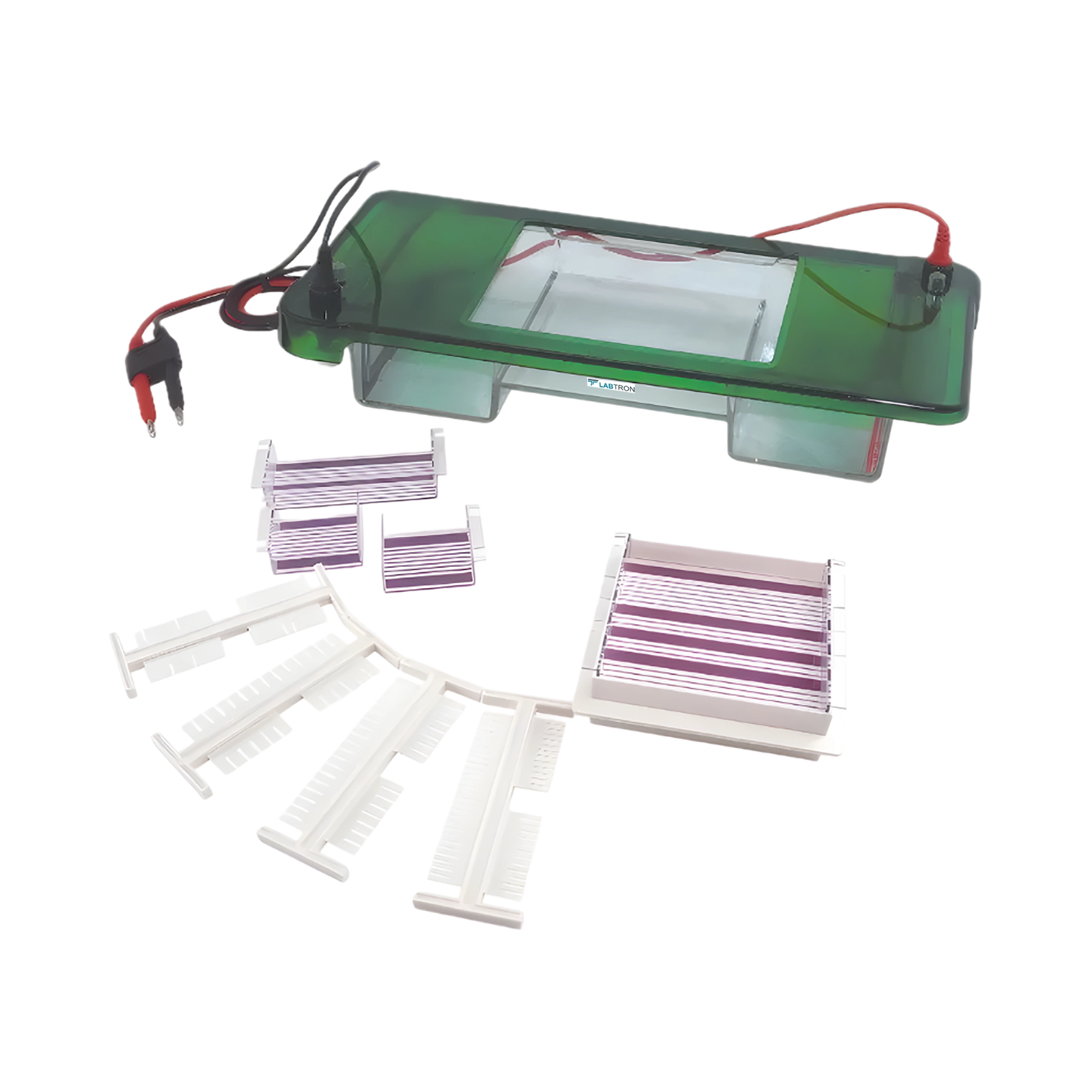 Horizontal Electrophoresis System LHES-C11 Horizontal Electrophoresis System LHES-C11
