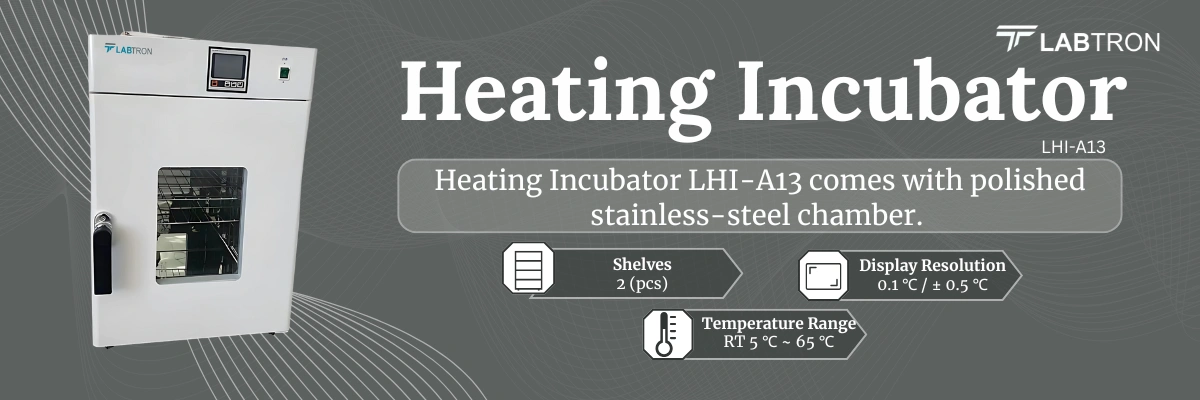 Heating Incubator LHI-A13 | Chamber Volume 80 L | Shelves 2 (pcs)