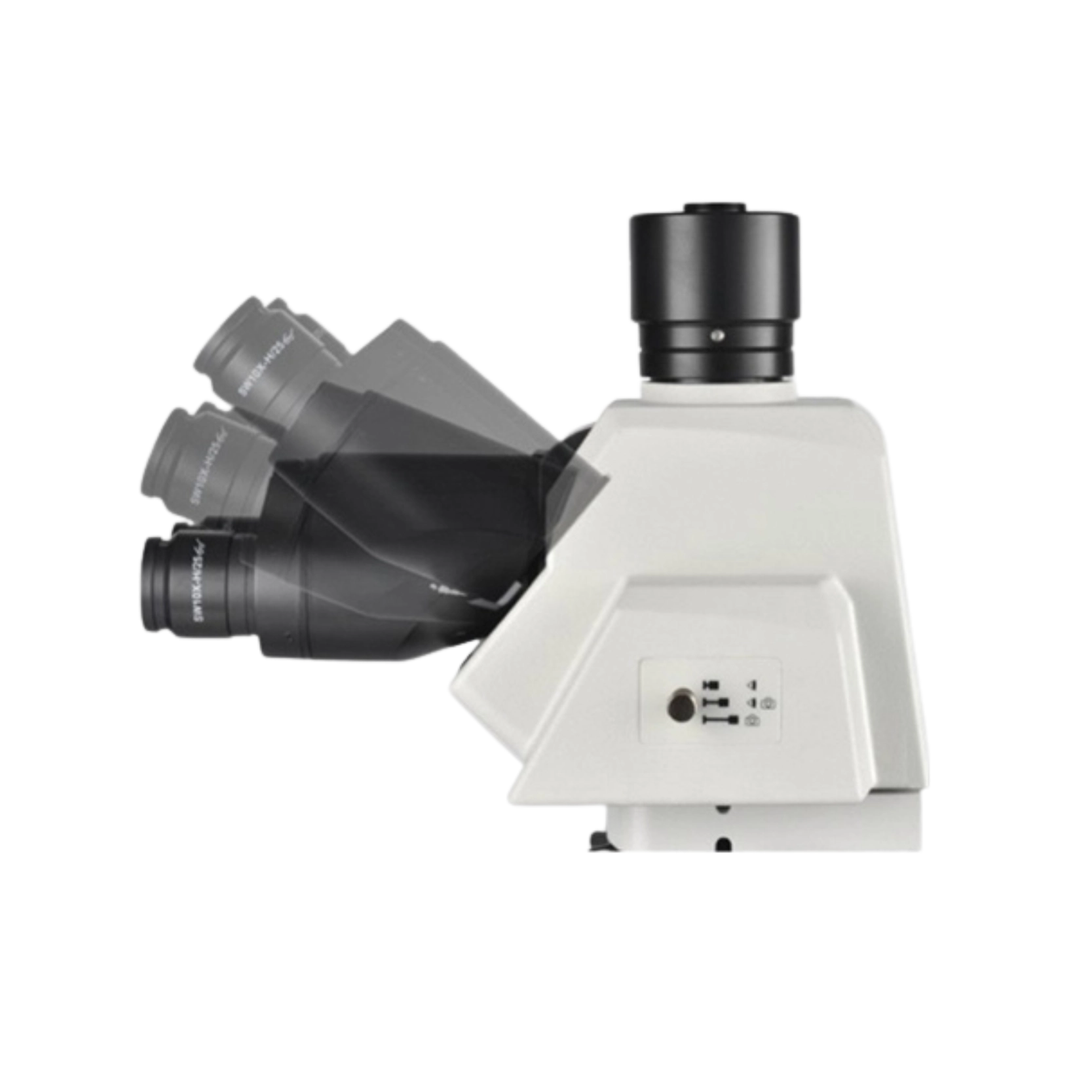 Upright Metallurgical Microscope LMM-B21