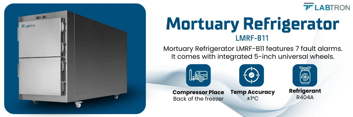 Mortuary Refrigerator LMRF-B11 | Accurate Temperature | Standard Compressor