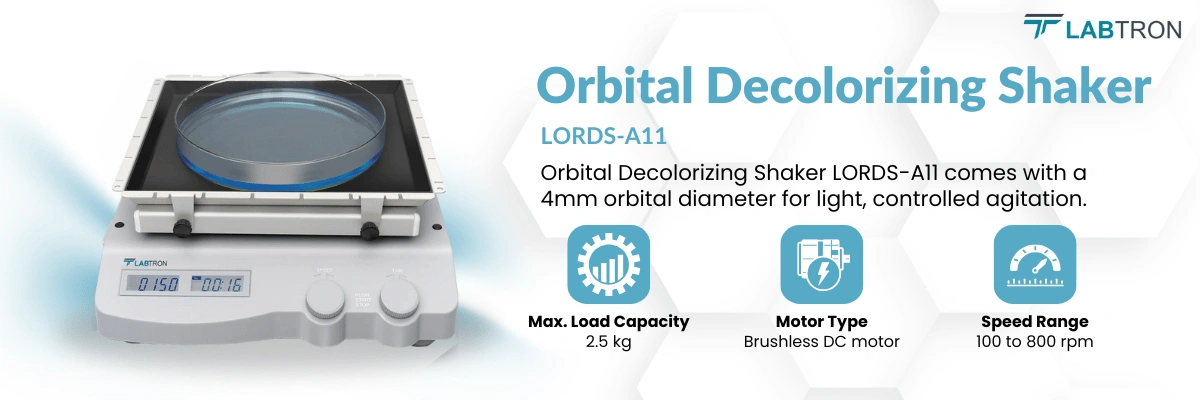 Orbital Decolorizing Shaker LORDS-A11 | Max. load capacity: 2.5 kg