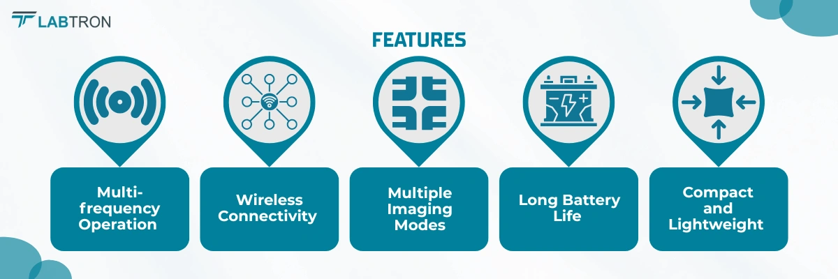 Portable Ultrasound Scanner LPUS-A20 | Multi-frequency Operation | Wireless Connectivity