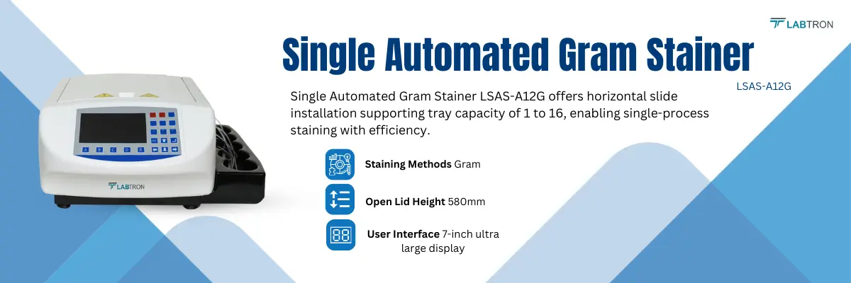 Single Automated Gram Stainer LSAS-A12G Staining Methods Gram