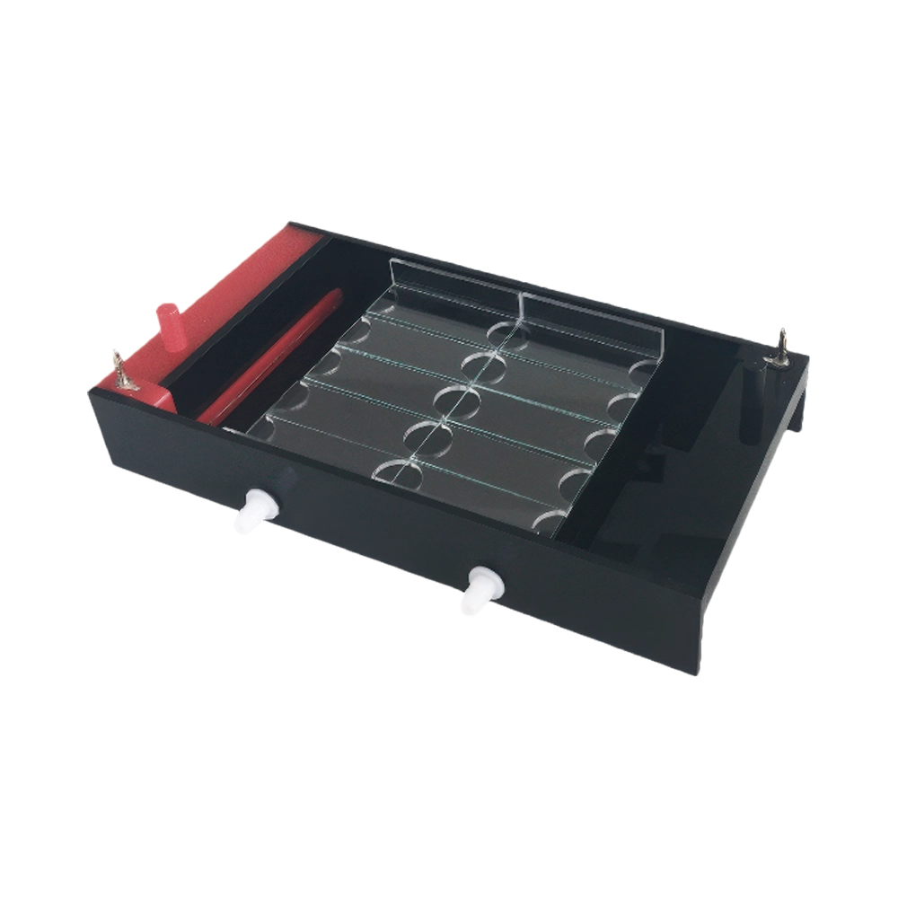 Single Cell Gel Electrophoresis LSCGE-A11