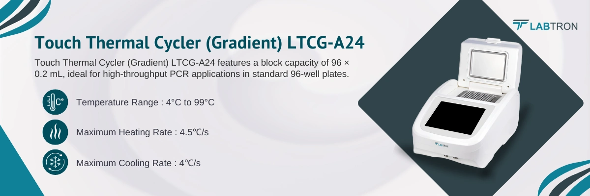 Touch Thermal Cycler (Gradient) LTCG-A24 | Capacity-96 × 0.2 mL | Temperature Range-4°C to 99°C
