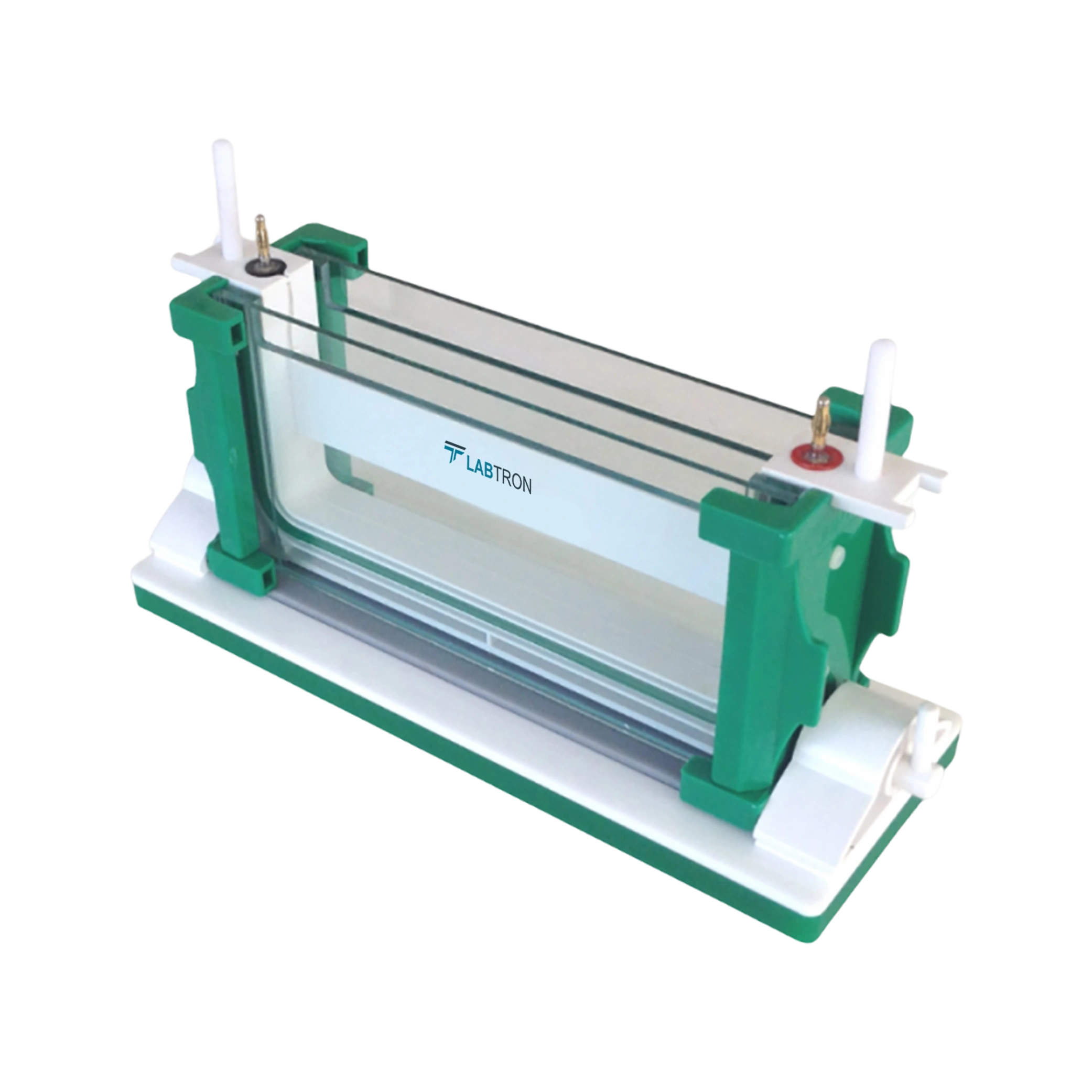 Vertical Electrophoresis System LVES-B10-01