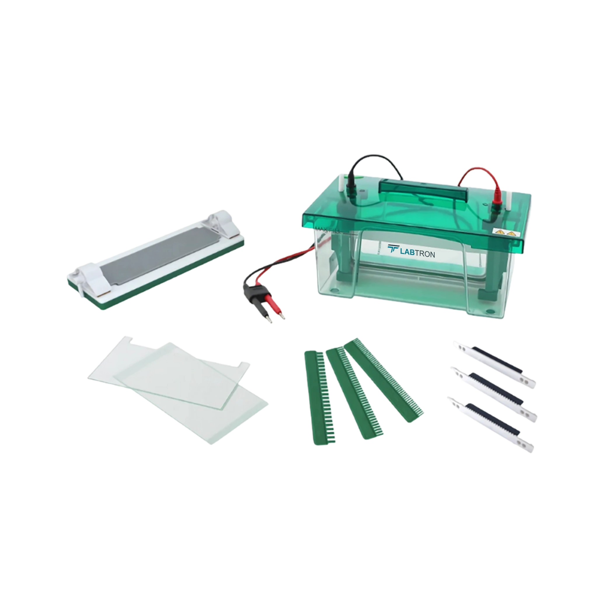Vertical Electrophoresis System LVES-B10-02