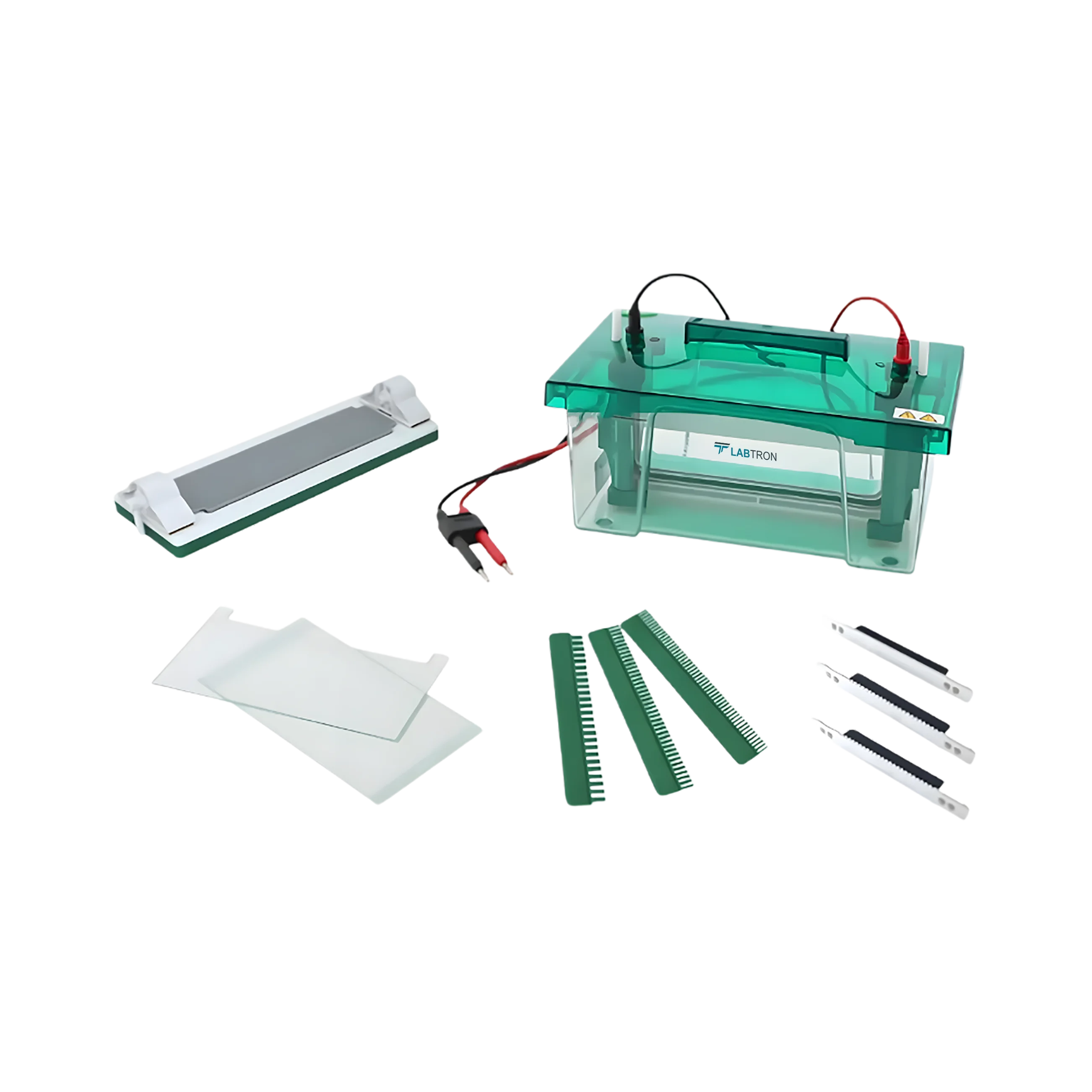 Vertical Electrophoresis System LVES-B10 Catalog