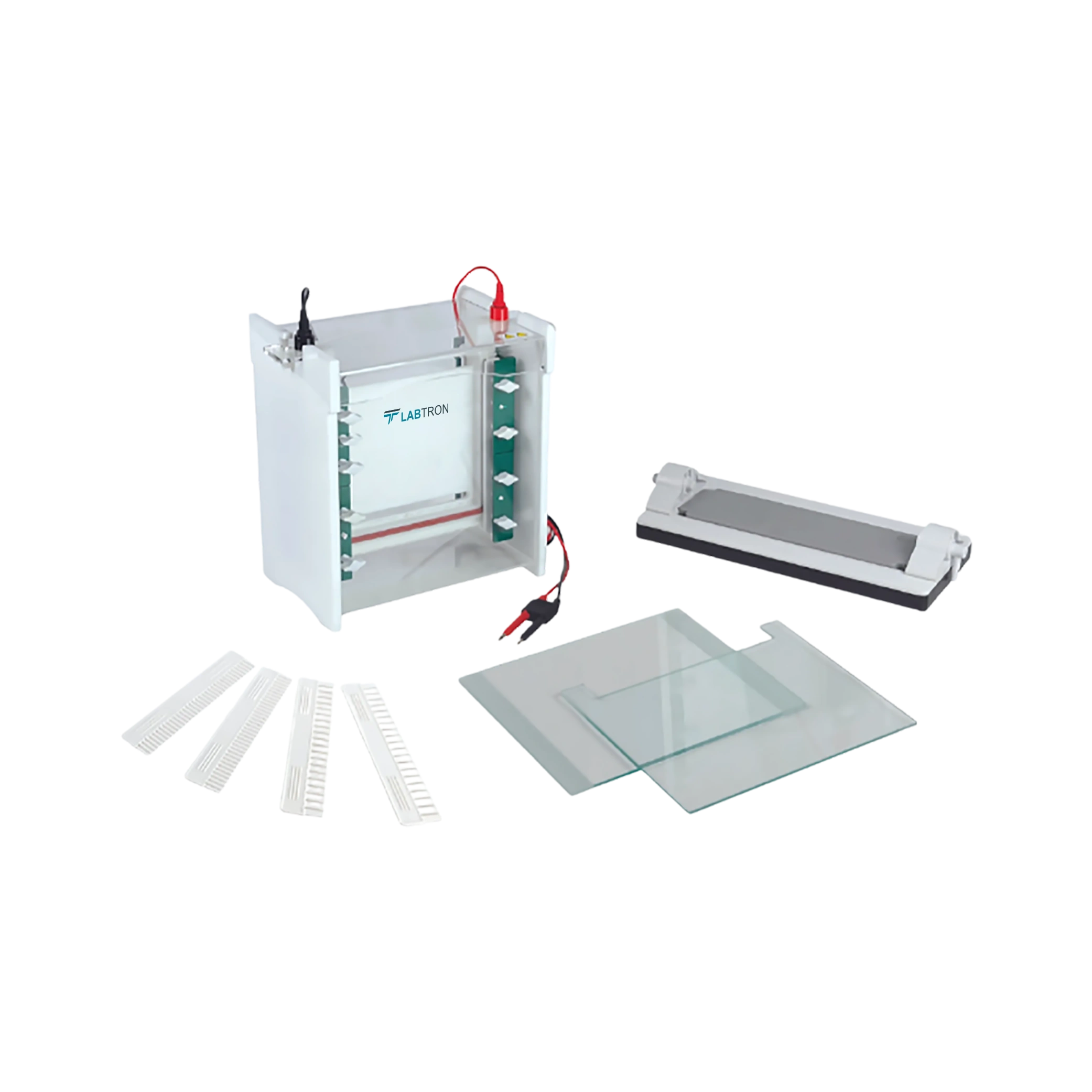 Vertical Electrophoresis System LVES-B14-01