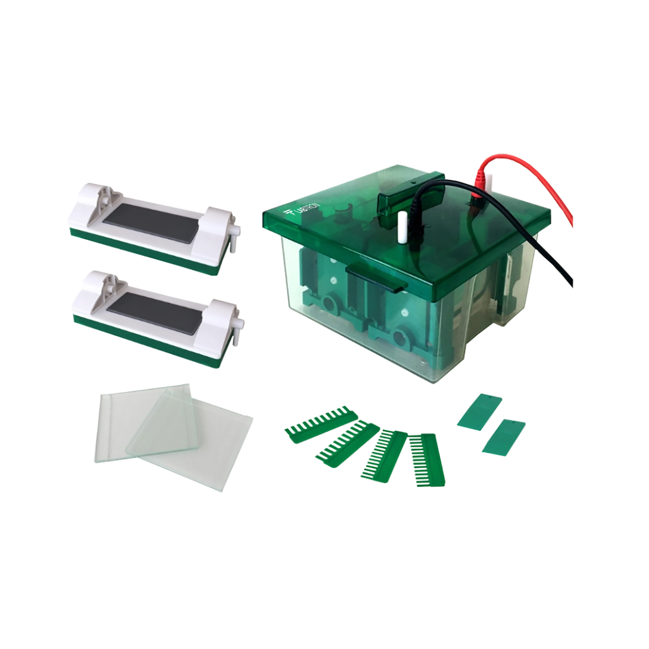 Vertical Electrophoresis System LVES-B15-01