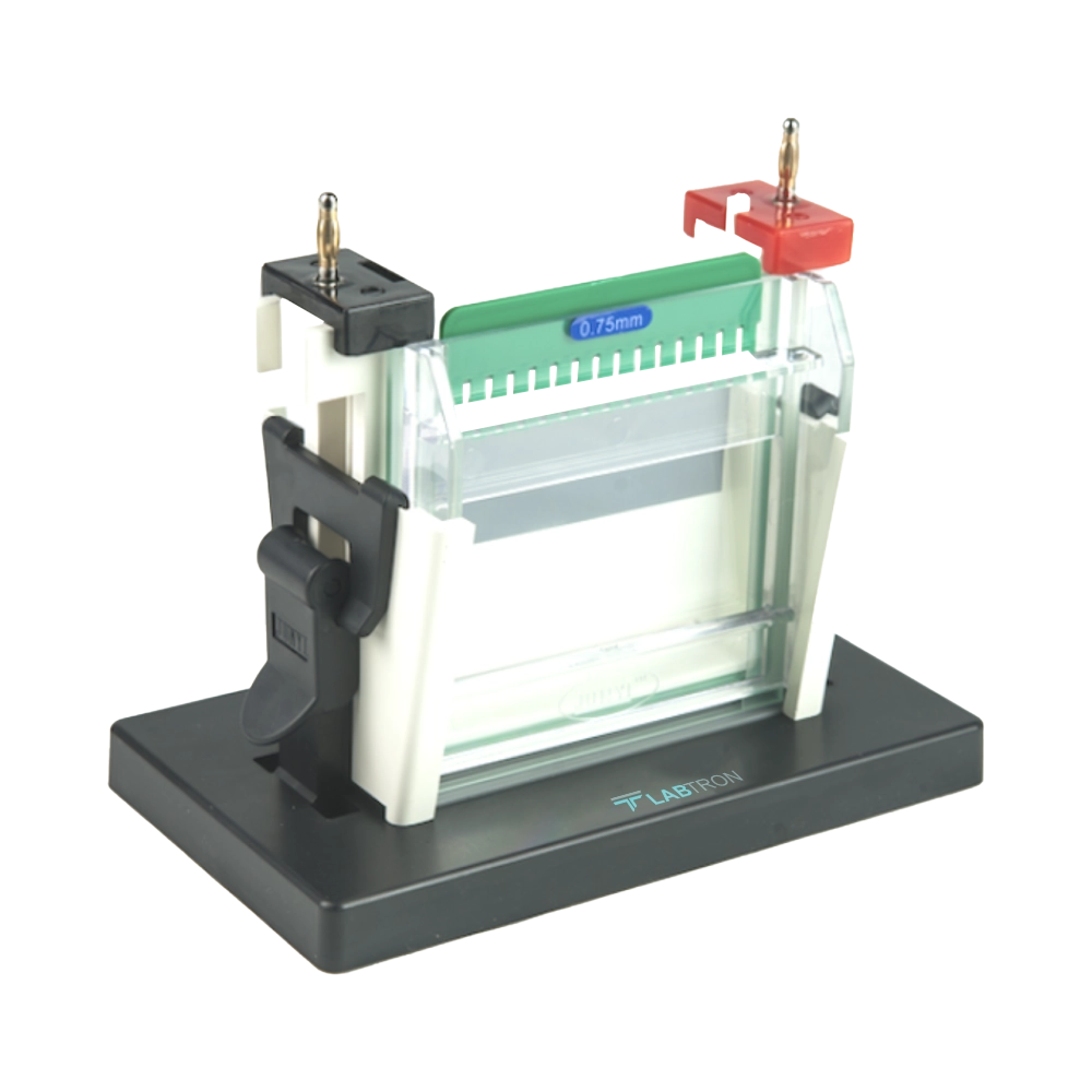 Vertical Electrophoresis System LVES-B16