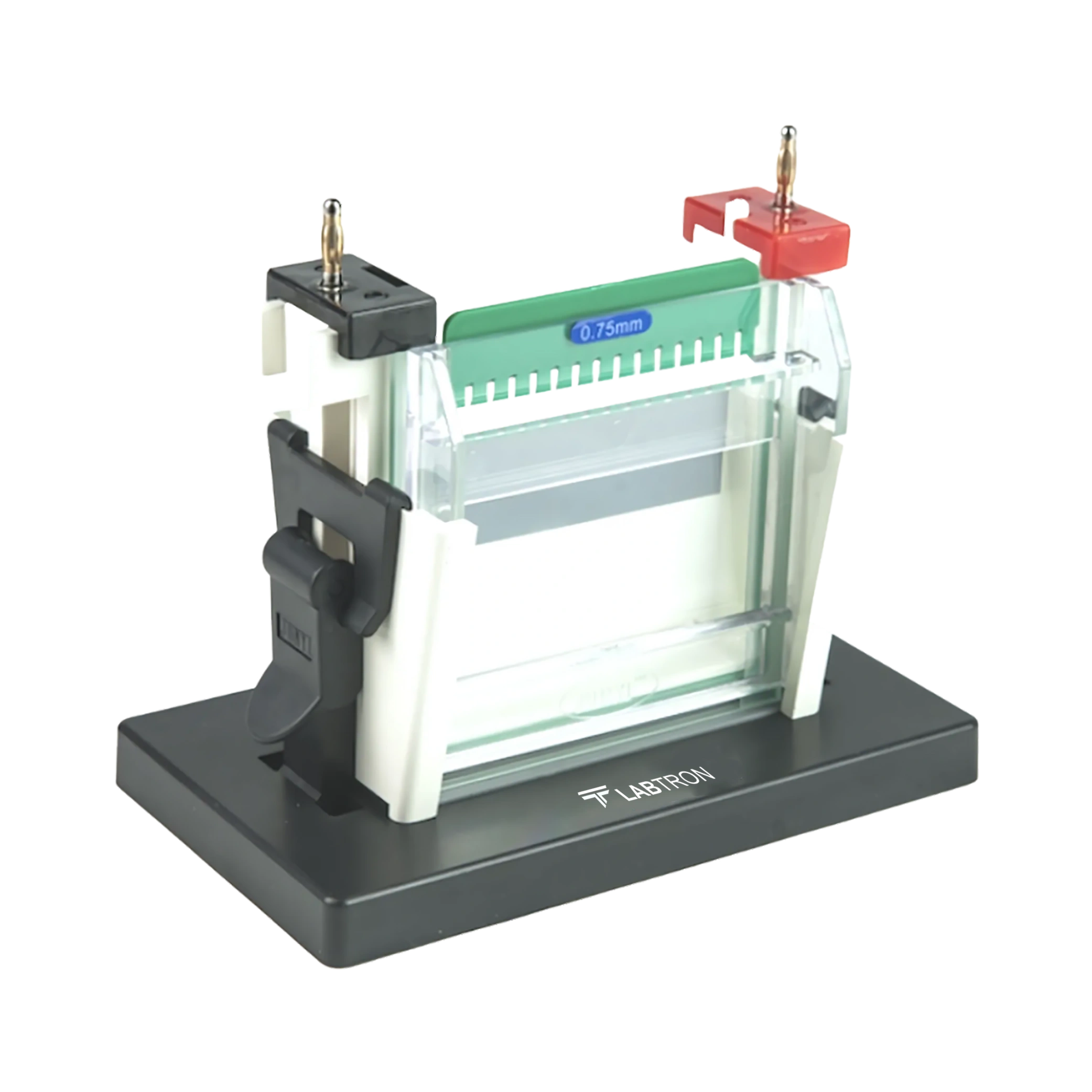 Vertical Electrophoresis System LVES-B16-02