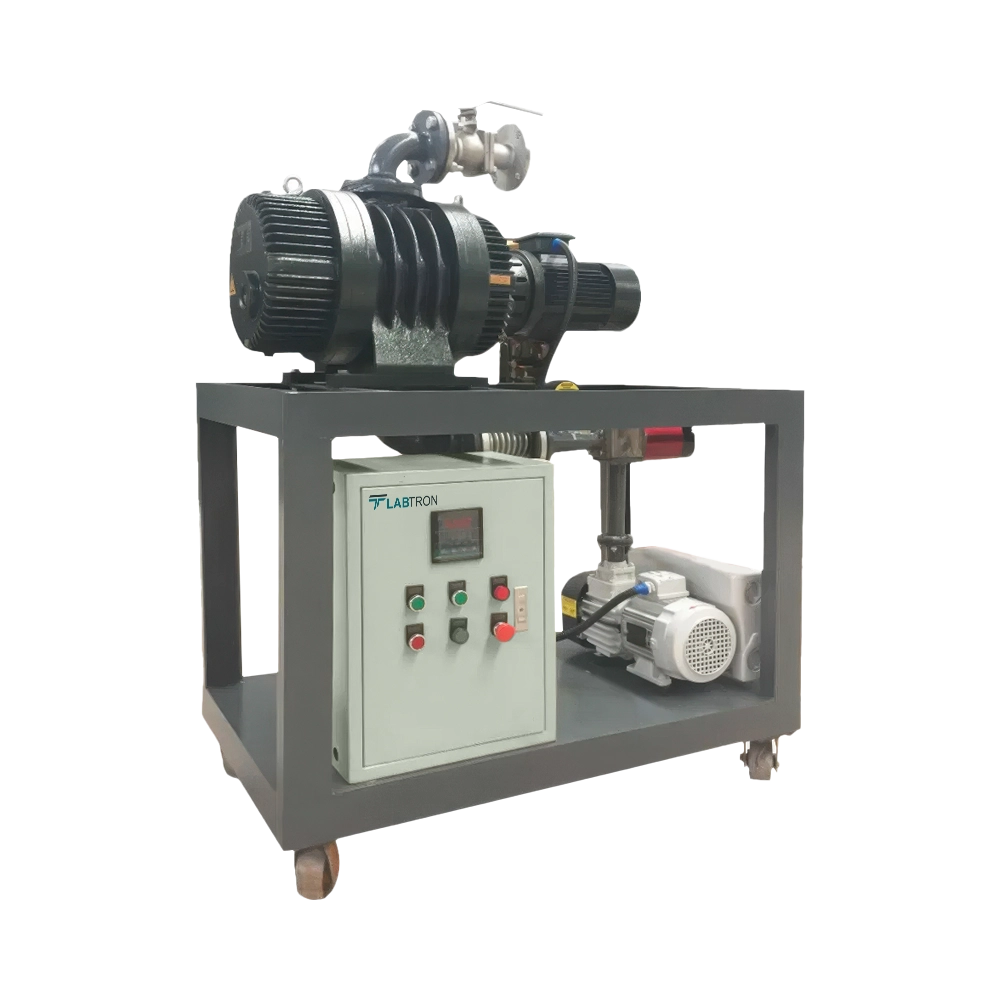 Vacuum Pump System LVPS-A10